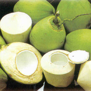 Coconut water, Amrit in pregnancy
