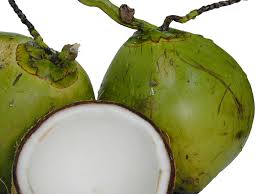 Coconut water, Amrit in pregnancy