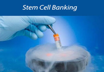 Stem cell Banking Information and Facts – Parents